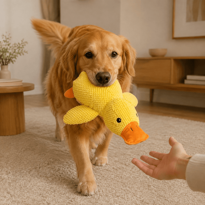 Quacking Duck Plush Dog Toy - Pawtique