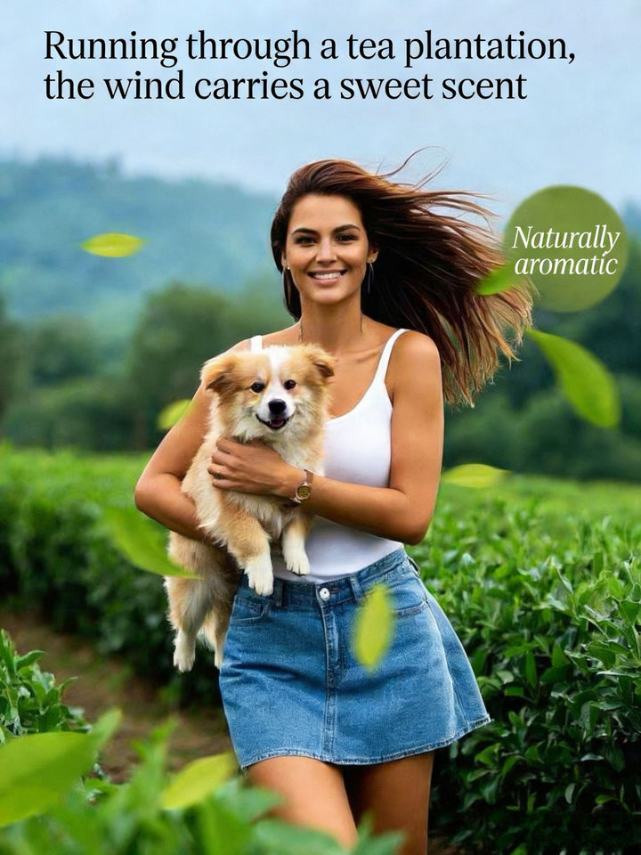 Quick &amp; Gentle Pet Shampoo — Fresh Fur in Minutes. - Pawtique