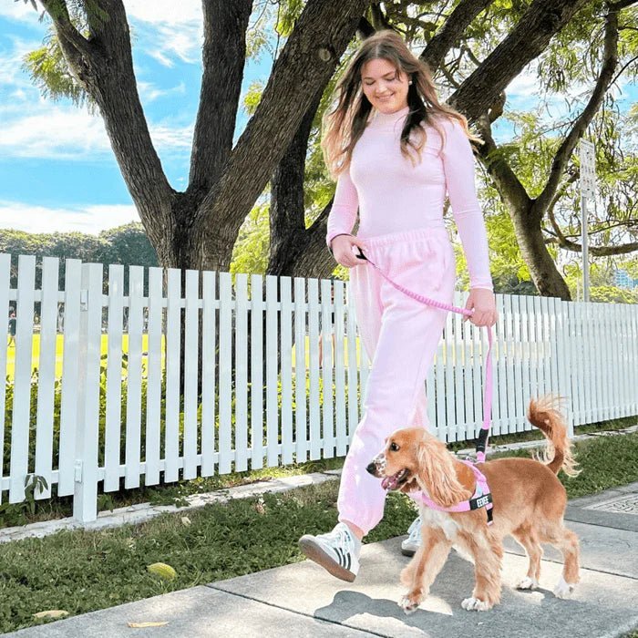 Reflective Adjustable Dog Harness – Personalized Harness for Walking - Pawtique