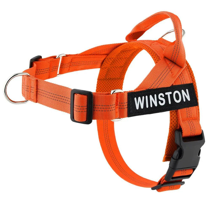Reflective Adjustable Dog Harness – Personalized Harness for Walking - Pawtique