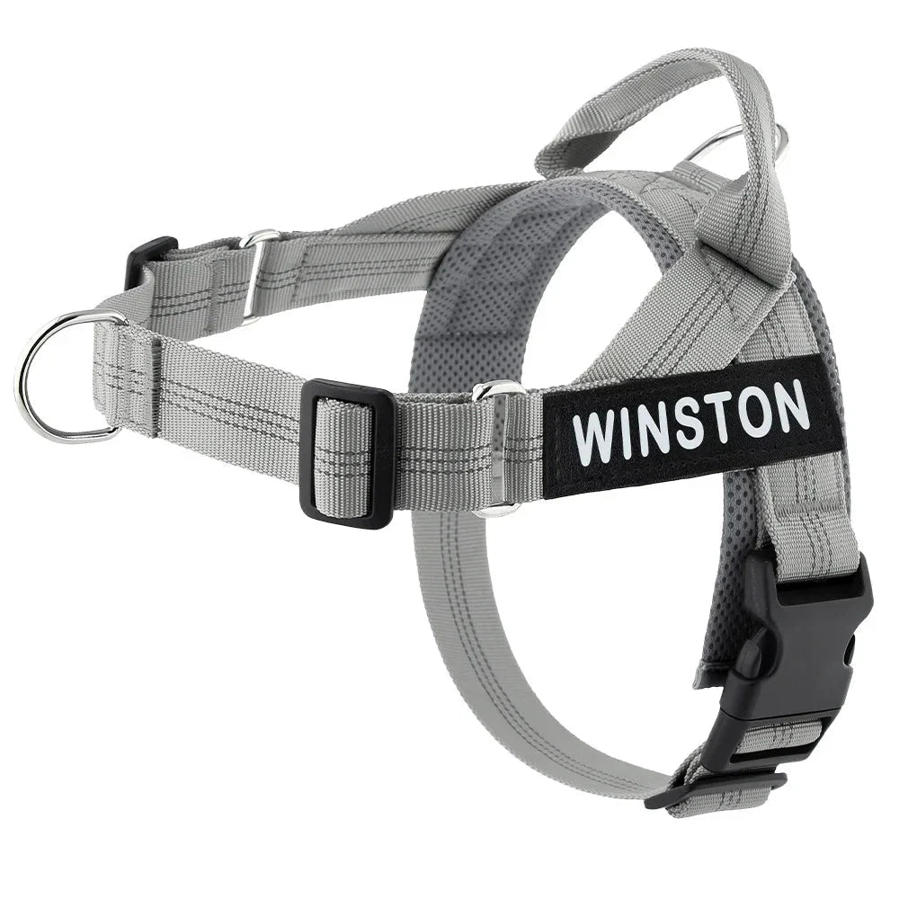 Reflective Adjustable Dog Harness – Personalized Harness for Walking - Pawtique