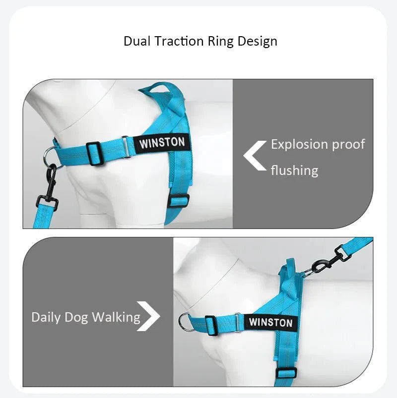 Reflective Adjustable Dog Harness – Personalized Harness for Walking - Pawtique
