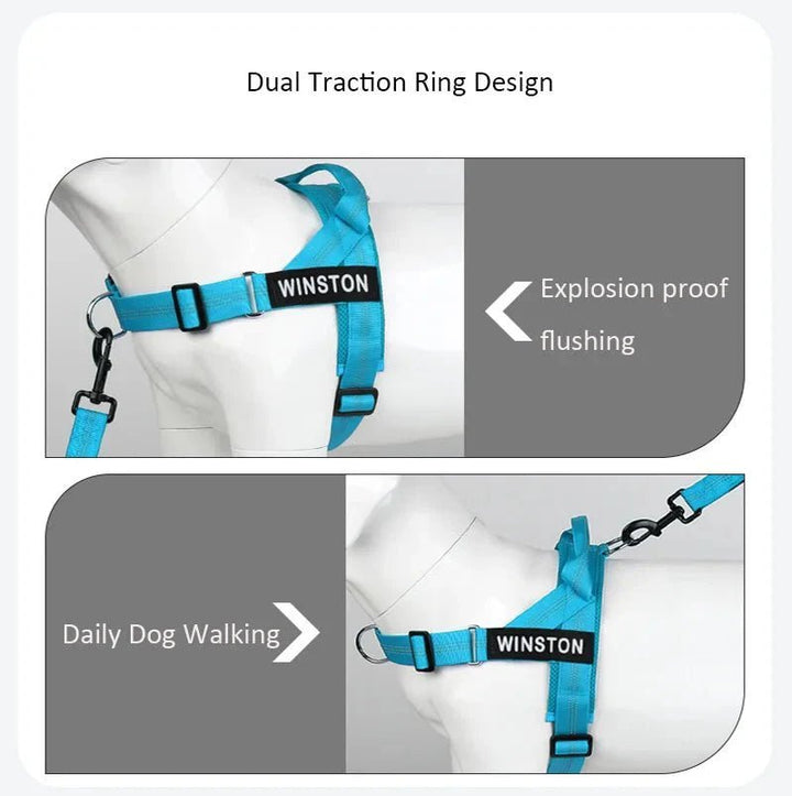 Reflective Adjustable Dog Harness – Personalized Harness for Walking - Pawtique
