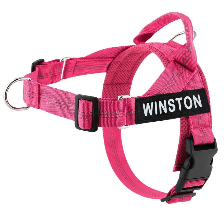 Reflective Adjustable Dog Harness – Personalized Harness for Walking - Pawtique