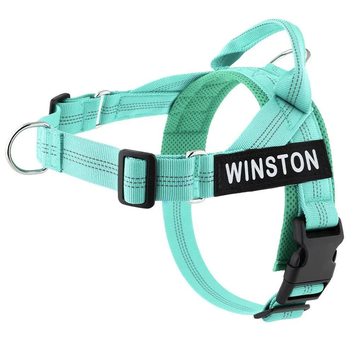 Reflective Adjustable Dog Harness – Personalized Harness for Walking - Pawtique