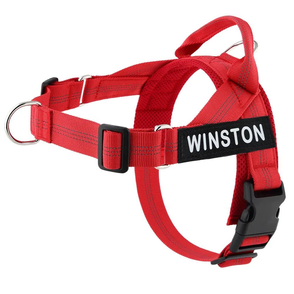 Reflective Adjustable Dog Harness – Personalized Harness for Walking - Pawtique