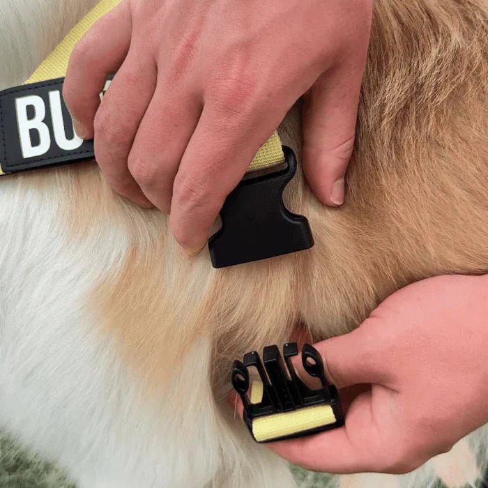 Reflective Adjustable Dog Harness – Personalized Harness for Walking - Pawtique