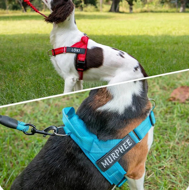Reflective Adjustable Dog Harness – Personalized Harness for Walking - Pawtique