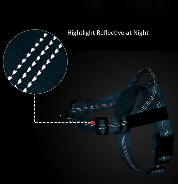 Reflective Adjustable Dog Harness – Personalized Harness for Walking - Pawtique