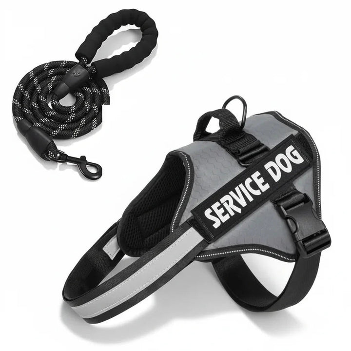 Reflective Adjustable Dog Harness – Strong Polyester for Walking - Pawtique