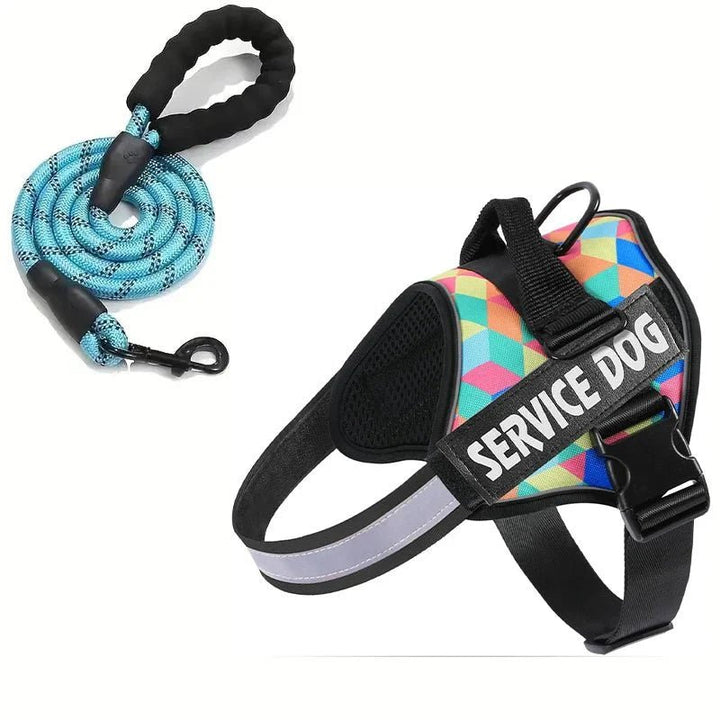 Reflective Adjustable Dog Harness – Strong Polyester for Walking - Pawtique
