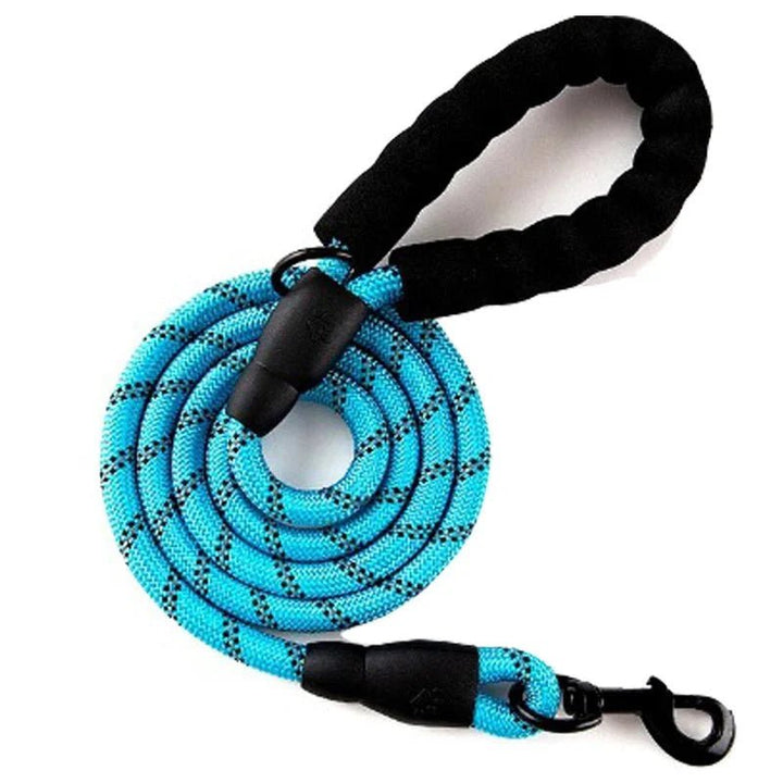 Reflective Adjustable Dog Harness – Strong Polyester for Walking - Pawtique