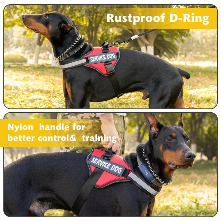 Reflective Adjustable Dog Harness – Strong Polyester for Walking - Pawtique