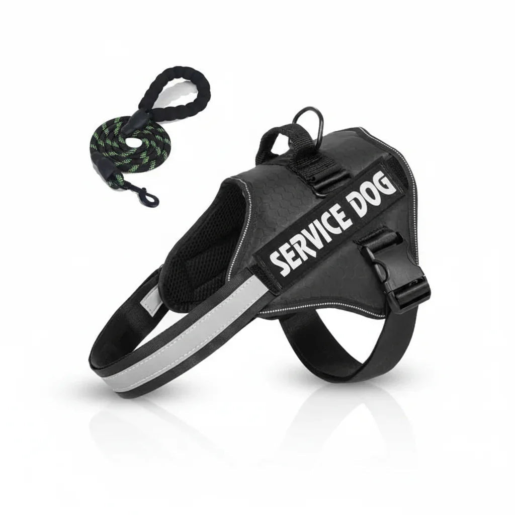 Reflective Adjustable Dog Harness – Strong Polyester for Walking - Pawtique