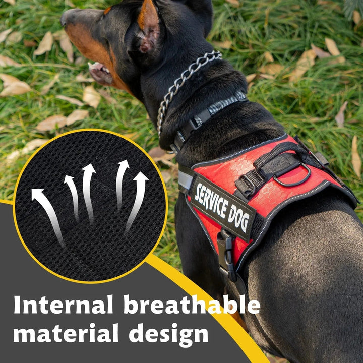 Reflective Adjustable Dog Harness – Strong Polyester for Walking - Pawtique