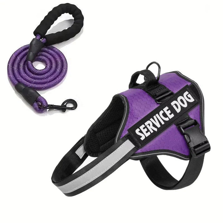 Reflective Adjustable Dog Harness – Strong Polyester for Walking - Pawtique