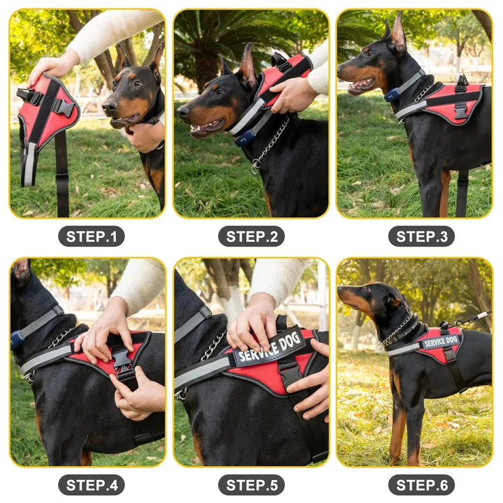 Reflective Adjustable Dog Harness – Strong Polyester for Walking - Pawtique