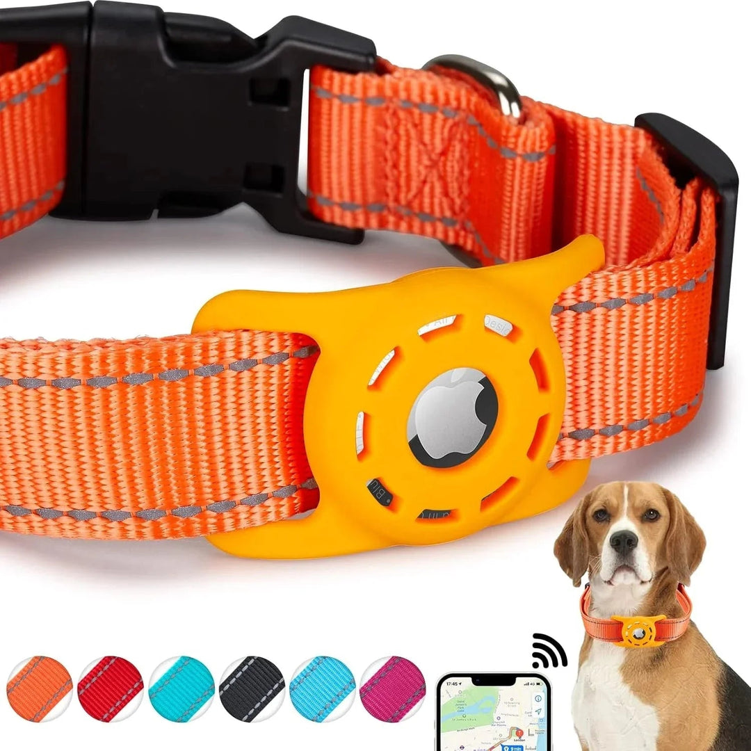 Reflective Airtag Holder Dog Collar - Pawtique