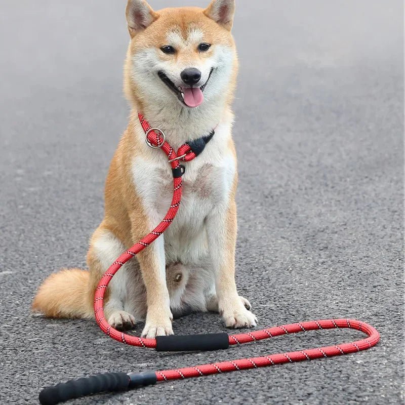 Reflective Belt - Slip Line 180cm - Pawtique