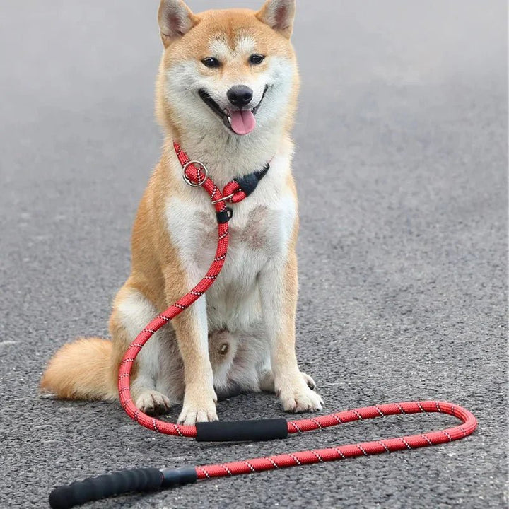 Reflective Belt - Slip Line 180cm - Pawtique