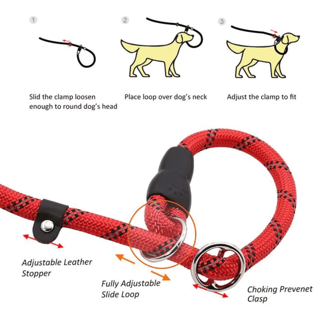 Reflective Belt - Slip Line 180cm - Pawtique