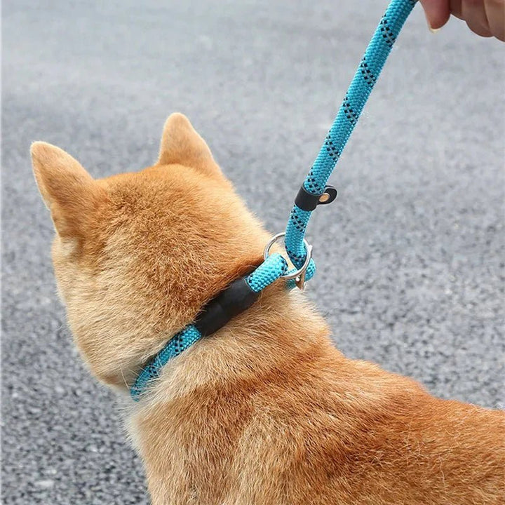 Reflective Belt - Slip Line 180cm - Pawtique