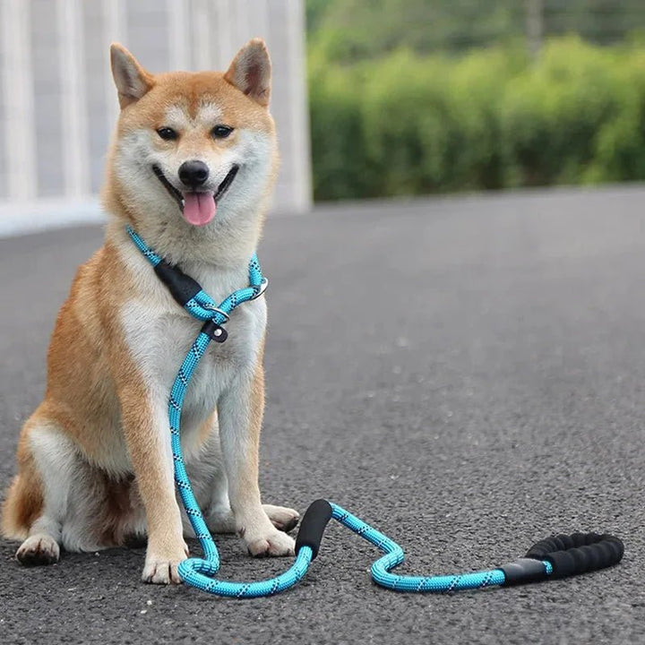 Reflective Belt - Slip Line 180cm - Pawtique