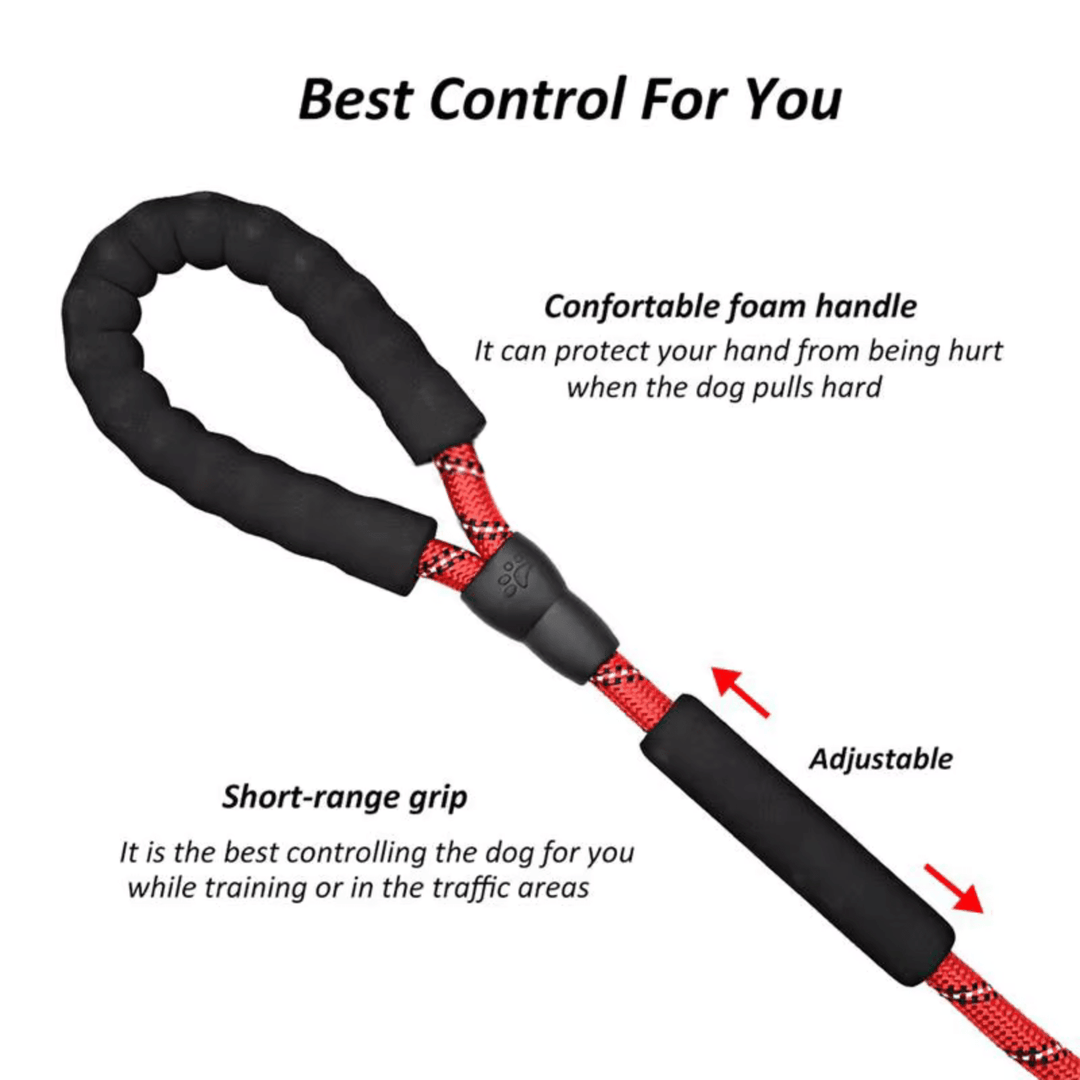 Reflective Belt - Slip Line 180cm - Pawtique
