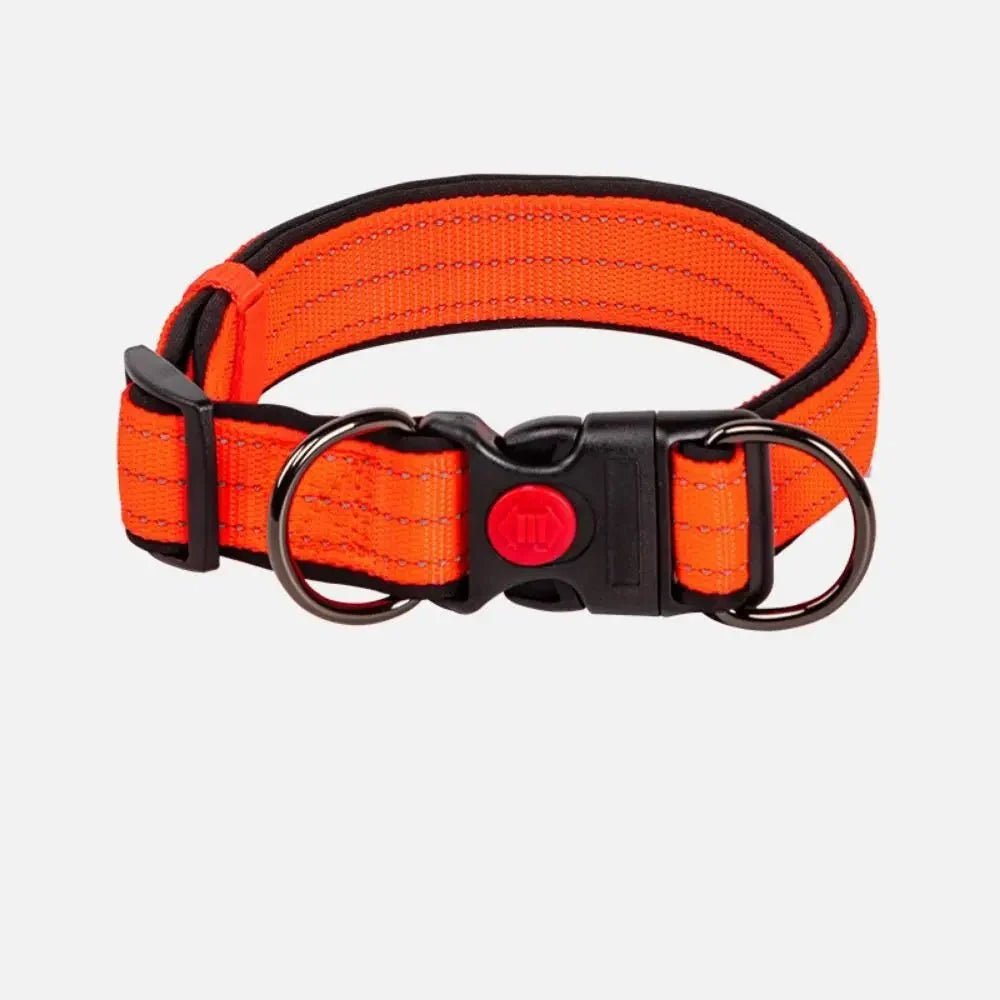 Reflective Dog Collar with Double D - Ring - Pawtique