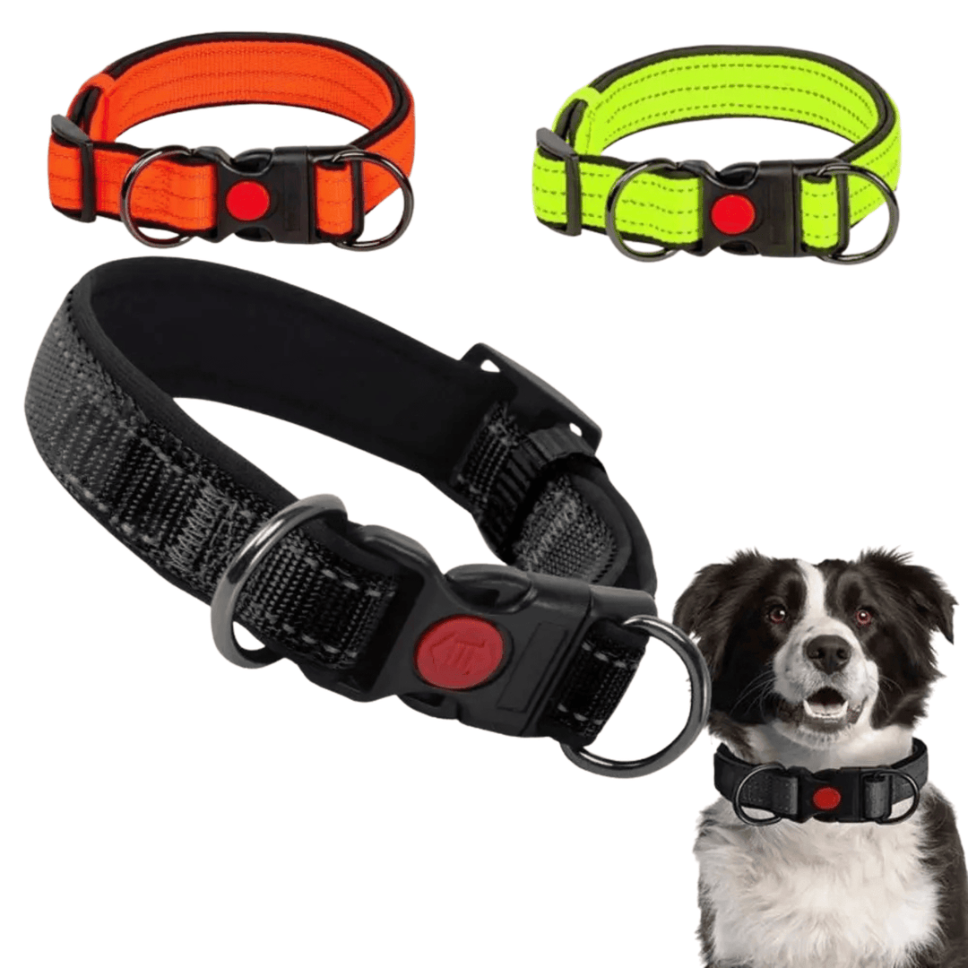 Reflective Dog Collar with Double D - Ring - Pawtique