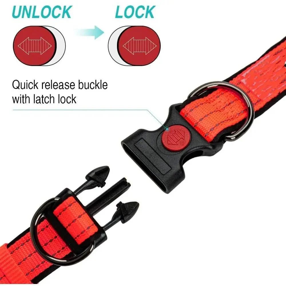 Reflective Dog Collar with Double D - Ring - Pawtique