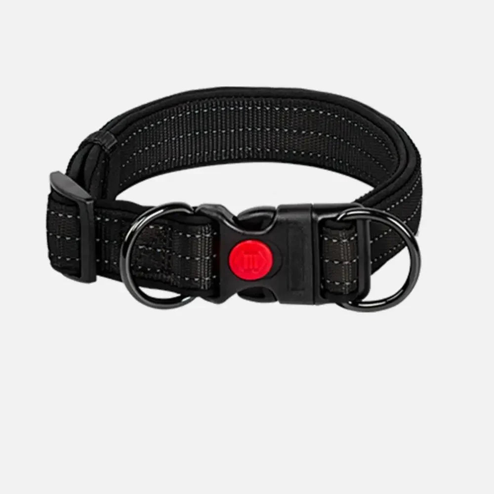 Reflective Dog Collar with Double D - Ring - Pawtique