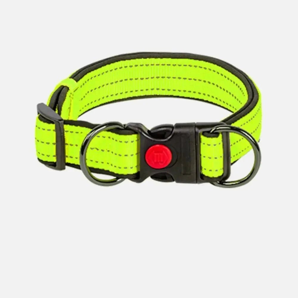 Reflective Dog Collar with Double D - Ring - Pawtique