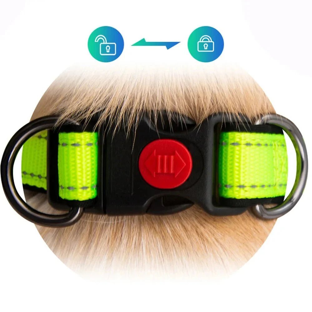 Reflective Dog Collar with Double D - Ring - Pawtique