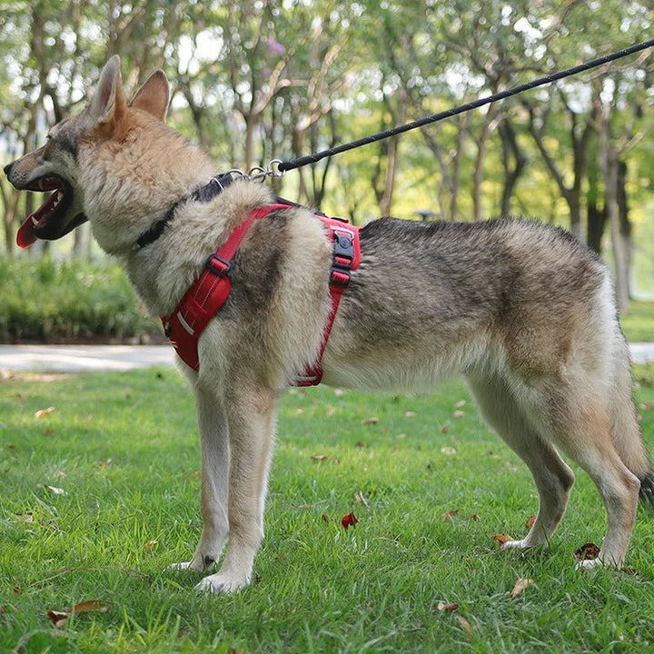 Reflective Dog Harness – Adjustable Nylon Harness for Walking - Pawtique