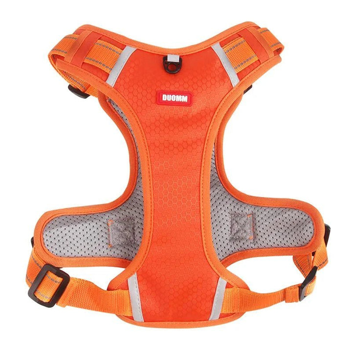 Reflective Dog Harness – Adjustable Nylon Harness for Walking - Pawtique