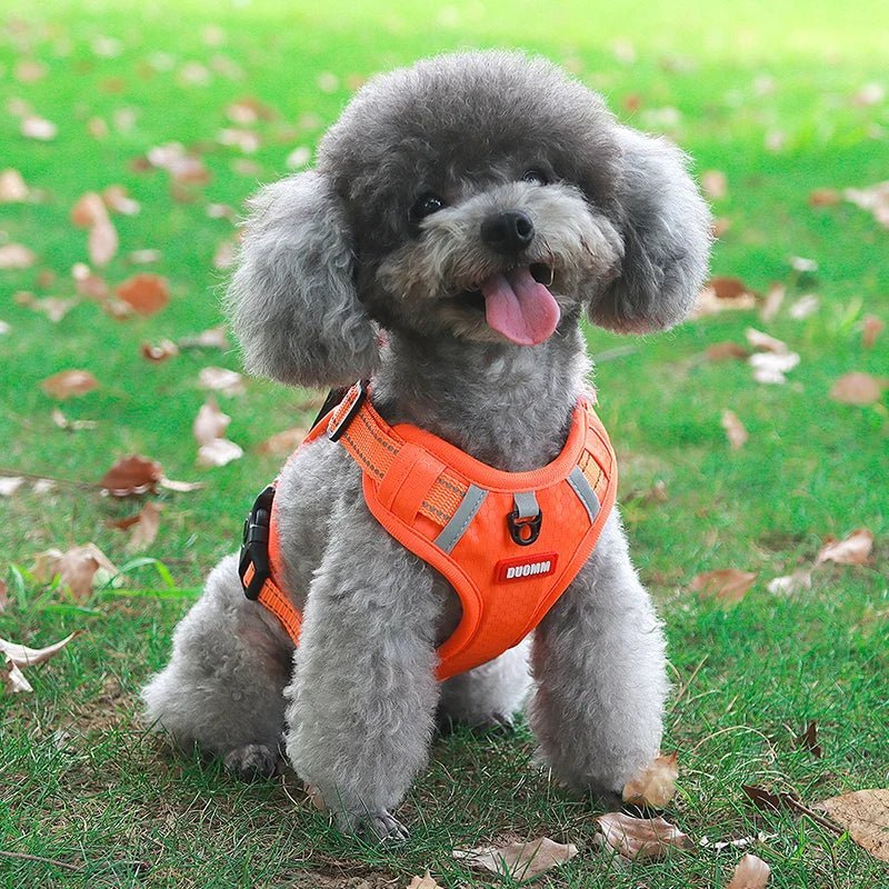 Reflective Dog Harness – Adjustable Nylon Harness for Walking - Pawtique