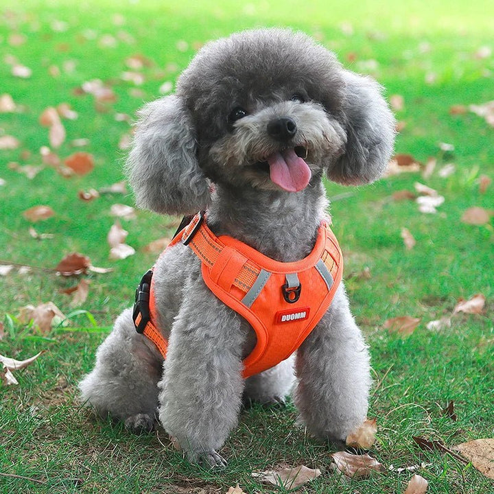Reflective Dog Harness – Adjustable Nylon Harness for Walking - Pawtique