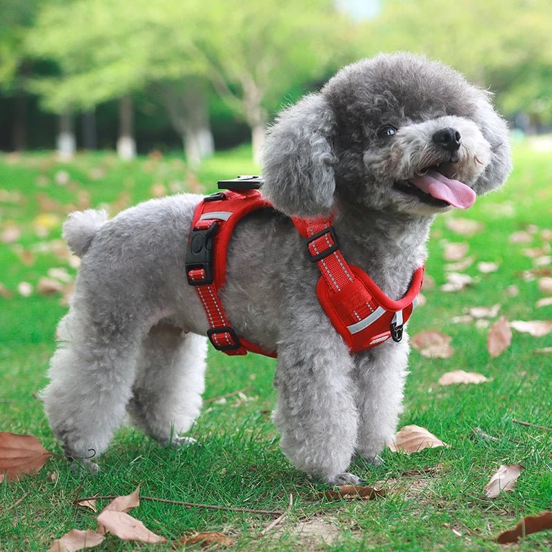 Reflective Dog Harness – Adjustable Nylon Harness for Walking - Pawtique