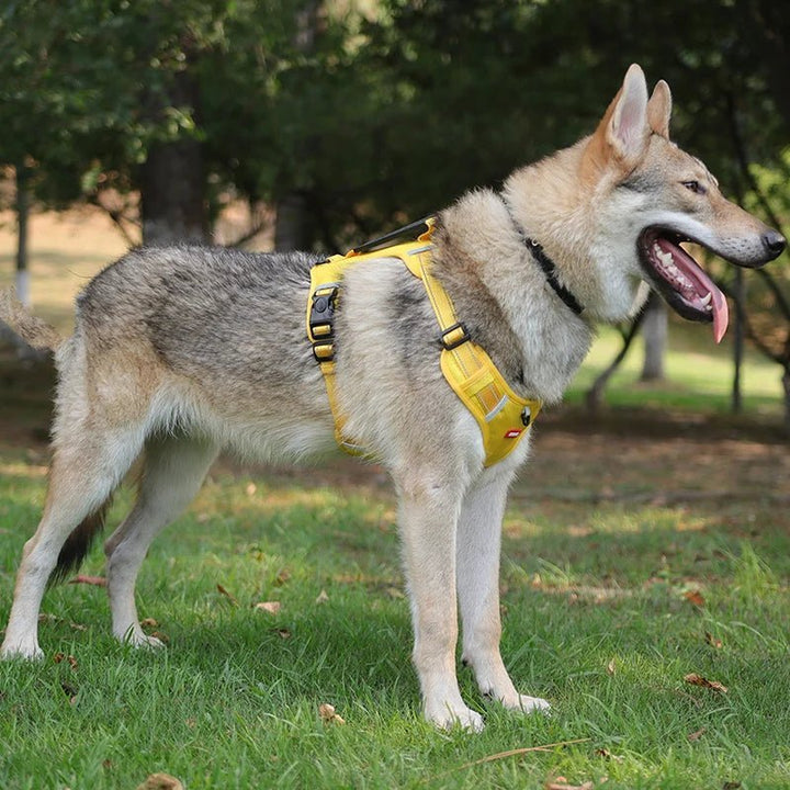 Reflective Dog Harness – Adjustable Nylon Harness for Walking - Pawtique