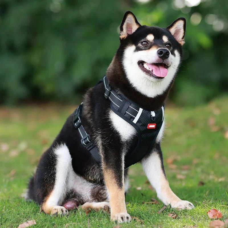 Reflective Dog Harness – Adjustable Nylon Harness for Walking - Pawtique