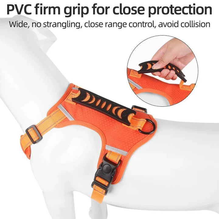 Reflective Dog Harness – Adjustable Nylon Harness for Walking - Pawtique
