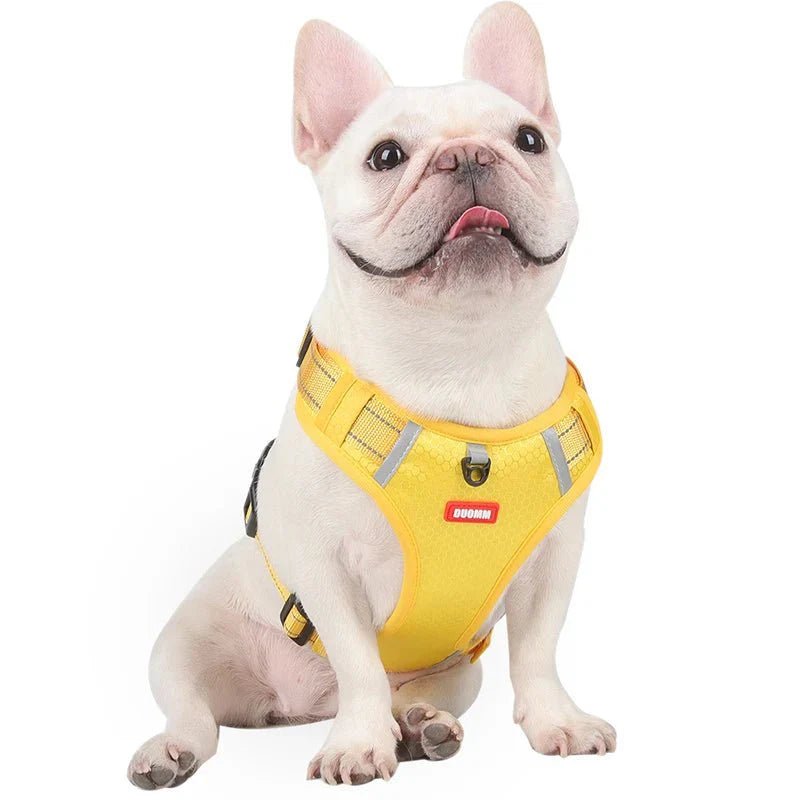 Reflective Dog Harness – Adjustable Nylon Harness for Walking - Pawtique