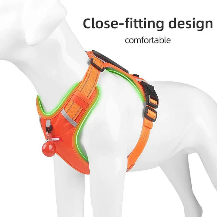 Reflective Dog Harness – Adjustable Nylon Harness for Walking - Pawtique