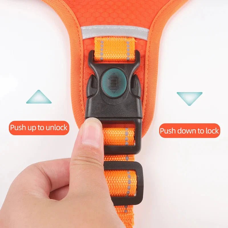 Reflective Dog Harness – Adjustable Nylon Harness for Walking - Pawtique