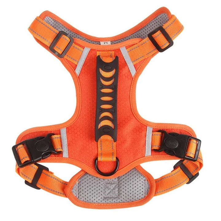 Reflective Dog Harness – Adjustable Nylon Harness for Walking - Pawtique