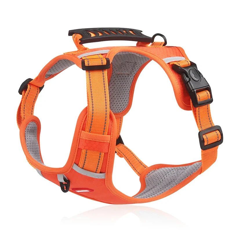 Reflective Dog Harness – Adjustable Nylon Harness for Walking - Pawtique