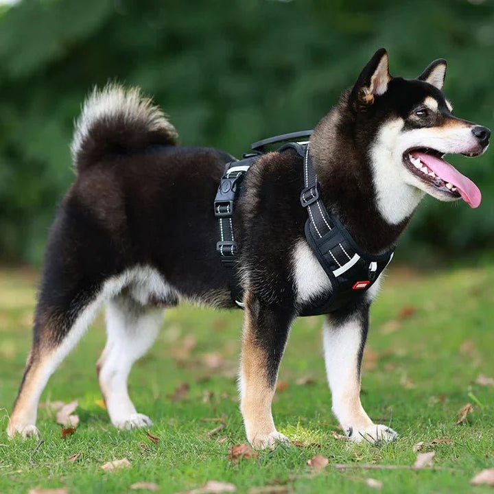 Reflective Dog Harness – Adjustable Nylon Harness for Walking - Pawtique