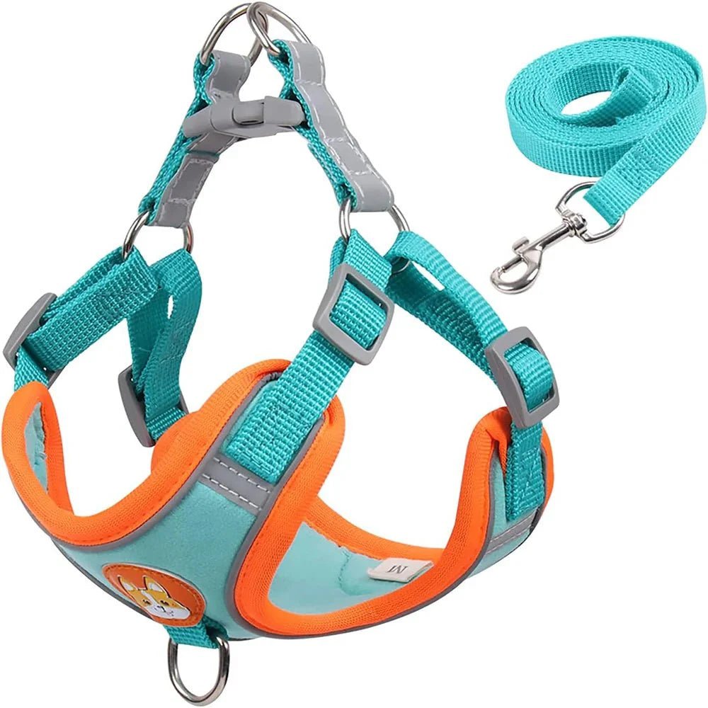 Reflective Dog Harness – Comfortable Nylon Harness for Walking - Pawtique