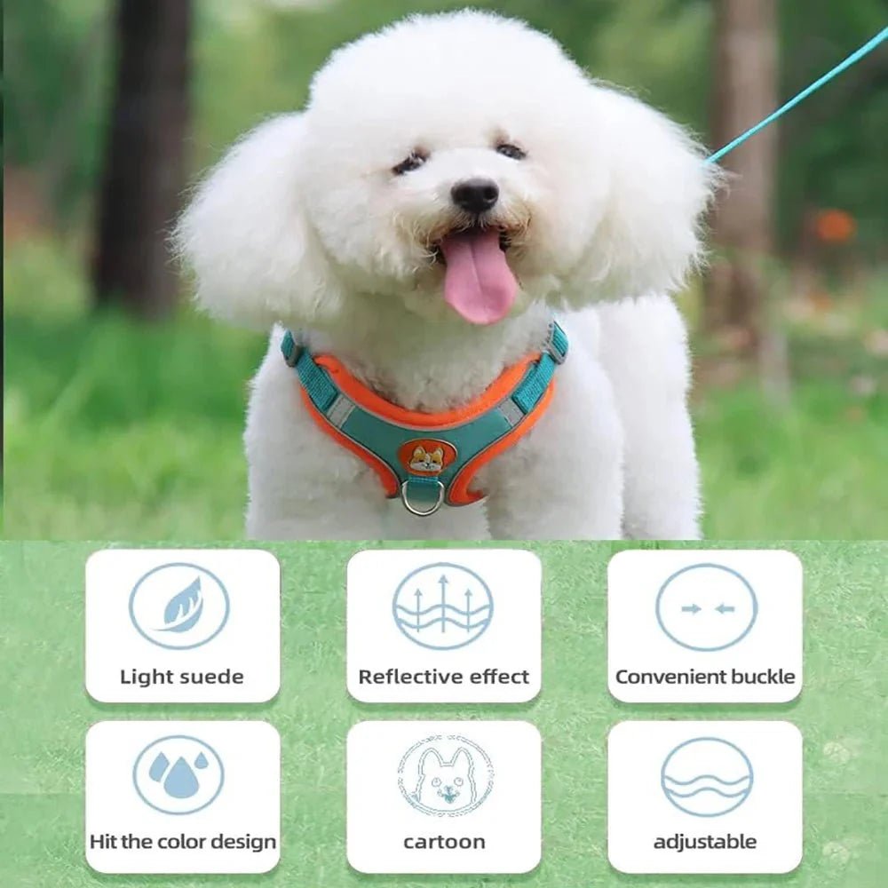 Reflective Dog Harness – Comfortable Nylon Harness for Walking - Pawtique